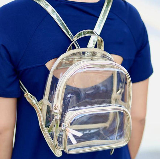 Clear See-Through Fashion Backpack (A934, A935)
